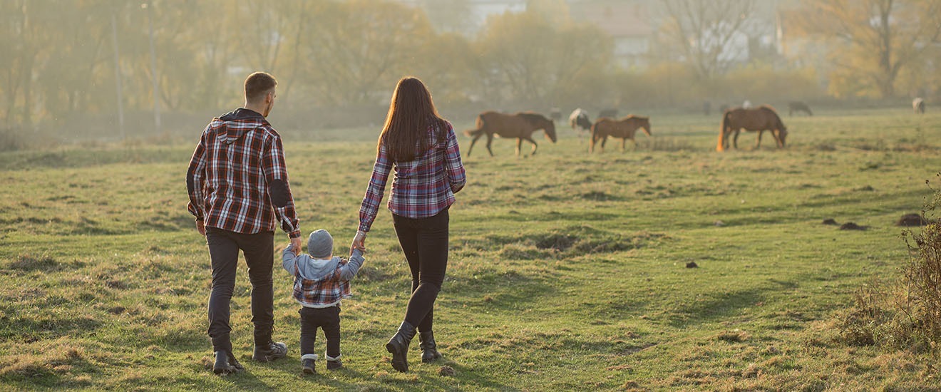 Best Pest Control in Elgin, OK