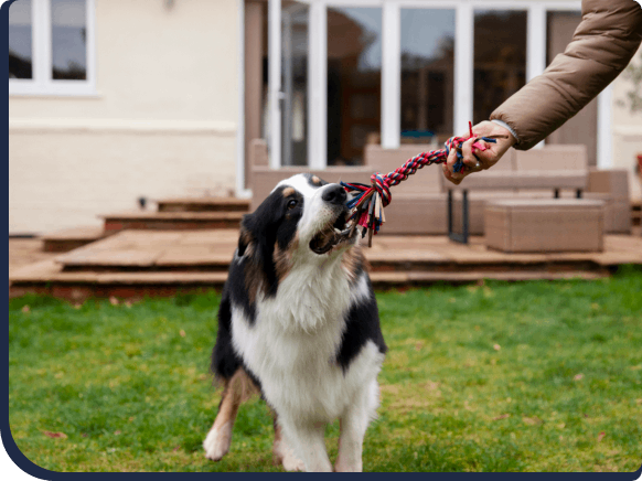 elgin-lawn-care-internal